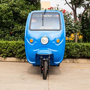 Triciclo Eléctrico Personalizado de 48V 60V con Cabina, Vehículo de Transporte Eléctrico - Product Image 1