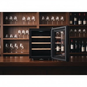 Réfrigérateur à boissons mini-bar OEM <span class=keywords><strong>12</strong></span> <span class=keywords><strong>bouteilles</strong></span>, refroidisseur de boissons, mini-réfrigérateur à <span class=keywords><strong>vin</strong></span> - Product Image 2