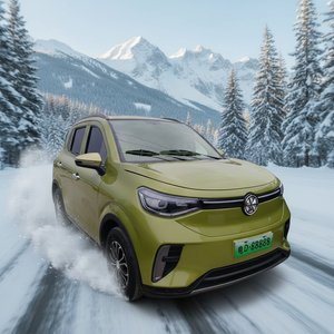 <span class=keywords><strong>Voiture</strong></span> électrique intelligente 5 places 2026 avec batterie au lithium pour adultes, logo personnalisé, 4000W, pour personnes âgées - Product Image 4