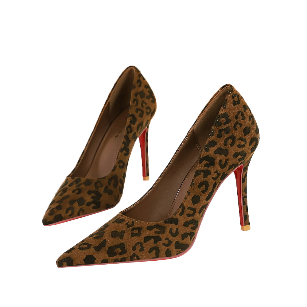 Leopardo