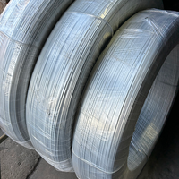 Fabricant professionnel de fil d'acier galvanisé ovale à chaud Q195 Q235 SAE 1008 1010 1012 1018 1020 1006 4MM