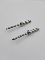 Rivets aveugles en acier inoxydable 304 personnalisés non standard pour l'industrie des équipements à énergie nouvelle