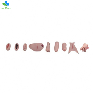 Tıp bilimleri eğitimi için en popüler PVC kadın hemşirelik mankeni gerçekçi ve canlı tıbbi eğitim modelleri - Product Image 2