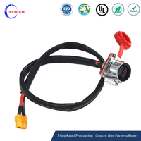 Kabel Harness Konektor Penerbangan XT60 ke GX16 Khusus, Kabel PVC Berlapis Timah untuk Skuter Listrik & Baterai Layanan OEM ODM