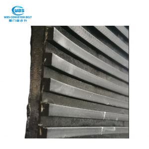 Pasokan pabrik di Cina EP300/2 karet Filter bergerak anti-selip konveyor sabuk konveyor - Product Image 4