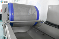 Industriële appel-, groente- en fruitwasserinstallatie, fruitborstelwasapparatuur voor het reinigen van uien