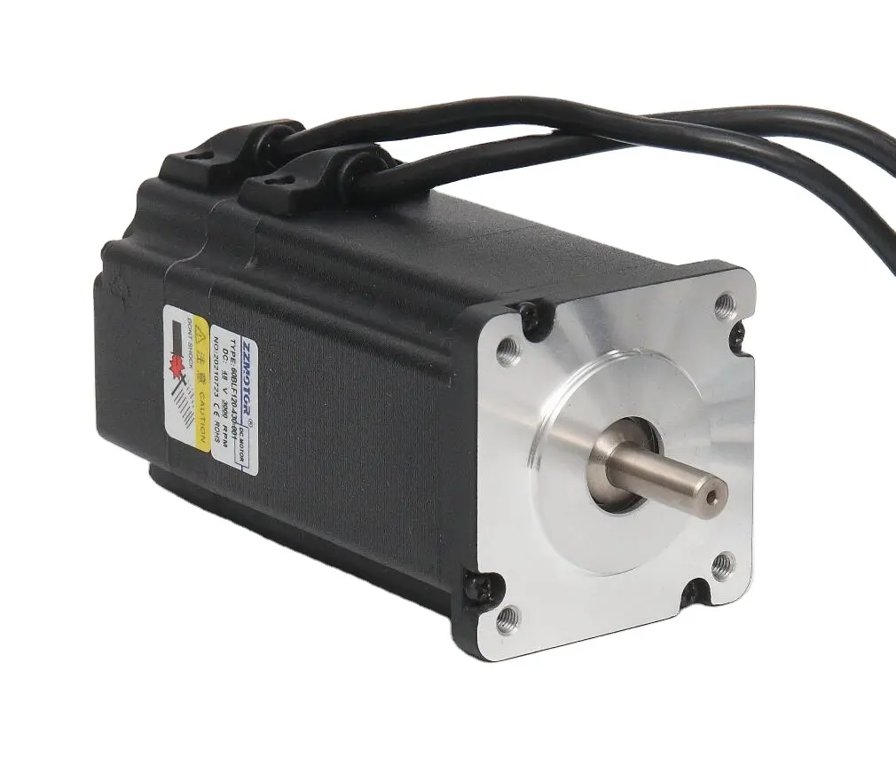 24V 48V BLDC Motor 100W 200W 300W 400W Bürstenloser Gleichstrom motor 3000 U/min mit bestem Preis für Automatik maschine