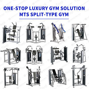 Equipo <span class=keywords><strong>de</strong></span> gimnasio con carga <span class=keywords><strong>de</strong></span> pin, doble pila <span class=keywords><strong>de</strong></span> pesas <span class=keywords><strong>para</strong></span> <span class=keywords><strong>curl</strong></span> <span class=keywords><strong>de</strong></span> <span class=keywords><strong>bíceps</strong></span>, compatible con Hammer Strength MTS, equipo <span class=keywords><strong>de</strong></span> fitness que ahorra espacio - Product Image 2