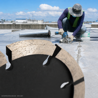 Disque de pointage diamanté à pression à froid pour mortier, pour le déjointage et la réjointage des murs en briques, kit d'outils, boîte d'outils OEM