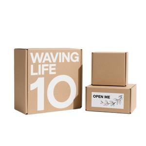 Nova - Caja de Envío de Embalaje Biodegradable Personalizada Reciclable, Caja Plegable Ecológica, Cajas de Correo para Regalos con Logotipo - Product Image 1