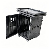 Boîtier de rack en plastique PE 8U/12U/14U/16U, Flight case antichoc à roulettes pour mixeur audio et amplificateur