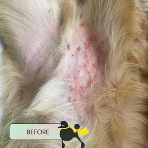 Baume de soin naturel pour la peau et les griffes pour chien et chat-Apaise renforce et protège des points chauds Démangeaisons et irritations-1.75 oz - Product Image 2