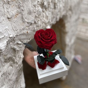 Ingrosso conservato stabilizzato Rose secche conservate in acrilico scatola di fiori per il regalo - Product Image 5