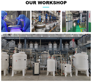 Fitoato de Sódio Bioextratado (Grau Industrial 90%-99% de Pureza) Antioxidante Natural Conservante Matéria-Prima para Detergentes e Alimentos - Product Image 5