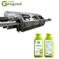 Pasteurisateur à froid NFC de jus de pastèque fraîche Machine de traitement à haute pression HPP pour ligne de production de jus