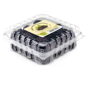 Embalagem de concha de Blackberry ventilada 125g PET recipiente de frutas de plástico transparente caixa de mirtilo para Blackberry