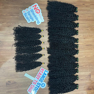 Les Plus Belles Coiffures : Cheveux Humains Vietnamiens Noirs Naturels, Style Pixie Bouclé, Sans Chute, Sans Nœuds - Product Image 1