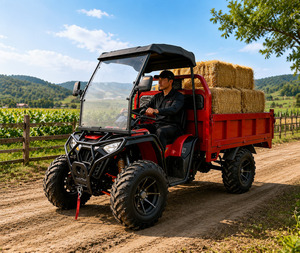 Véhicule utilitaire tout-terrain 4x4 UTV 300cc avec benne basculante de 1,8 m, à essence, pour adultes, <span class=keywords><strong>prix</strong></span> <span class=keywords><strong>d</strong></span>'usine OEM - Product Image 5