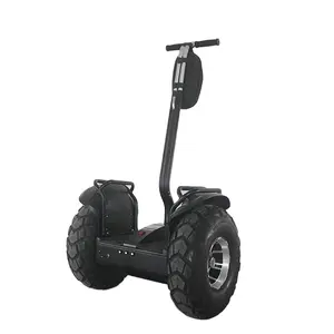 1000W 19Inch 36V 10Ah Động Cơ Kép Mạnh Mẽ Hai Bánh Xe Off Road Cân Bằng Điện Xe Máy Scooter