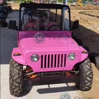 Mini jeep tout-terrain chinois pas cher 250cc 200cc 300cc 350cc 4x4 à essence, 2/4 places, buggy de plage électrique, mini jeep pour adultes