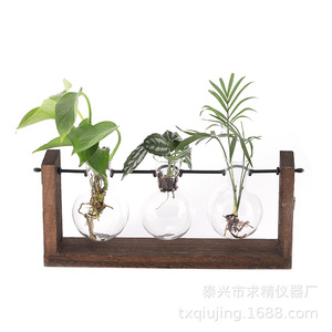 Retro Glass Hydroponic Vase With Wooden Stand Wall Mounted Plant Decor For Indoor Greenery - Product Image 4