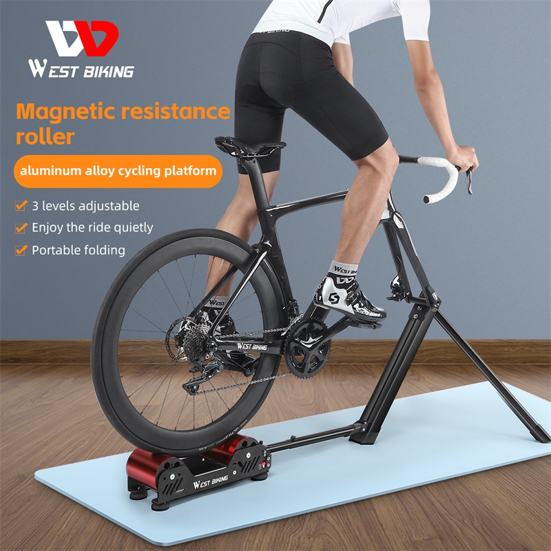 roller bike stand