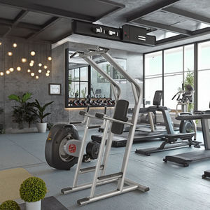 Station de musculation commerciale pour tractions, levées de jambes et dips, pour usage en salle de sport intérieure, entraînement de force et fitness. - Product Image 2