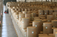 Papier kraft 70-200gsm Premium White Top Test Liner pour l'impression et l'emballage