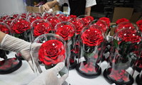 Echte ewige Blume für immer Rosen konservierte Rose in Glaskuppel für Ostern Weihnachten Halloween Thanksgiving Muttertag Geschenk