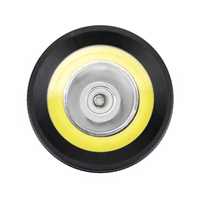Lampe torche à double source lumineuse haute puissance, détecteur de lumière noire 395 nm pour la détection d'urine d'animaux et des légumes, lampe torche UV LED