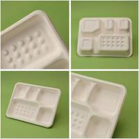 Barquettes alimentaires jetables en pulpe de bagasse à cinq compartiments, nouveau style, assiettes jetables en papier TKA
