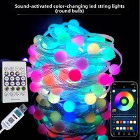 Guirlande lumineuse LED RGB intelligente USB à commande ponctuelle, en cuir, avec télécommande via application, étanche IP65, pour décoration, vente en gros fabricant