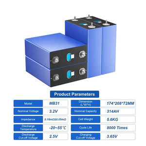 Eu Usa Voorraden 8000 Cyclus 3.2V Mb31 314ah Prismatische Lithium-Ion Batterijcel Ev 280ah 304ah 314ah 330ah 230ah 105ah Batterij - Product Image 6