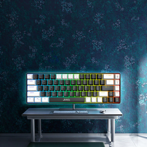 OEM kırmızı anahtarı kablolu tip C değiştirilebilir RGB arkadan aydınlatmalı renk aydınlatma bilgisayar ticaret mekanik oyun klavyesi için - Product Image 2