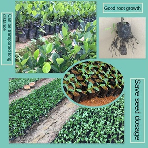 Sacs <span class=keywords><strong>de</strong></span> culture réutilisables en plastique noir pour pépinière, pots <span class=keywords><strong>de</strong></span> culture extérieurs pour concombres, tomates, fleurs, capacité personnalisable en gallons - Product Image 6