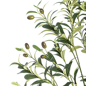 Personnaliser 90cm 120cm 150cm 180cm 210 <span class=keywords><strong>cm</strong></span> <span class=keywords><strong>Olivier</strong></span> en plastique Faux plantes en <span class=keywords><strong>pot</strong></span> <span class=keywords><strong>Olivier</strong></span> artificiel <span class=keywords><strong>pour</strong></span> la décoration intérieure de la maison - Product Image 5