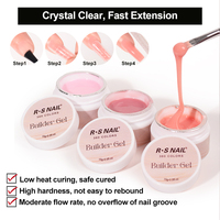 R S Nail Wholesale – Gel d'extension pour ongles 360 couleurs, haute qualité, sans HEMA ni TPO, gel dur sans chaleur, gel de construction pour ongles, vernis à ongles