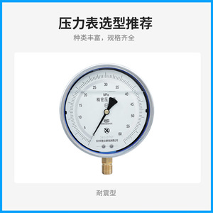 Manómetro de Precisión Suzhou Xuanzheng YB-150A Grado 0.4 M20X1.5, Manómetro Hidráulico y Neumático Analógico - Product Image 3