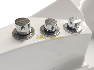 Bañera de <span class=keywords><strong>Hidromasaje</strong></span> Bellagio, Bañera de <span class=keywords><strong>Esquina</strong></span> Portátil, Spa de Masaje Usado, <span class=keywords><strong>Bañeras</strong></span> de <span class=keywords><strong>Hidromasaje</strong></span> para Dos Personas en Oferta - Product Image 5