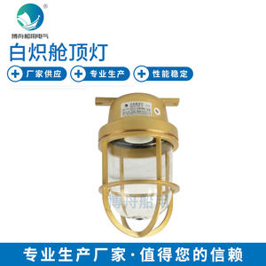 Lámpara de Techo Impermeable CCD15-2 de Bozhou, Iluminación para Pasillos/Cubiertas Marinas, Diseñada Específicamente para Barcos - Product Image 1