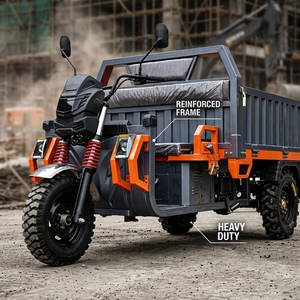 Tricycle de charge 2000 kg à prix de gros, moteur 3000 W, moto à 3 roues pour l'exploitation minière et les carrières, robuste, capacité de charge 2000 kg, conçu pour le transport lourd - Product Image 6