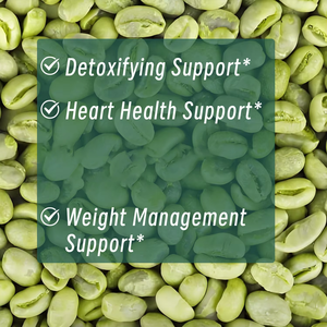 Cápsulas de Extracto de Café Verde con Logotipo Personalizado para Adultos, Suplemento Vegetariano, Apoyo a la Desintoxicación y Salud del Corazón para Adolescentes - Product Image 6