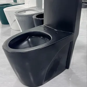 Salle de bain chinoise vente en gros Noir mat Siphonic/Wahdown S-trap250/300mm P-trap 180mm Toilette monobloc