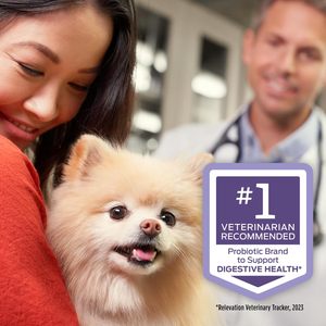 Envío Gratis, Suplementos Veterinarios <span class=keywords><strong>Purina</strong></span> <span class=keywords><strong>Pro</strong></span> <span class=keywords><strong>Plan</strong></span> FortiFlora, Probióticos Diarios para Perros, Ayuda a la Salud Digestiva Intestinal, Diarrea - Product Image 5