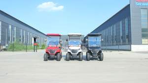 Carrito de golf eléctrico WELIFTRICH del precio de fábrica de China 4 Seater Golf Buggy - Product Image 2