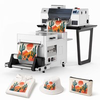 Imprimante COLORSUN (30cm) directement sur film (DTF) avec système Hosonsoft Machine d'impression de T-shirt Imprimante de film PET à transfert de chaleur