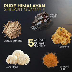 Gomitas de Shilajit OEM/ODM con Ashwagandha, Musgo Marino, Melena de León y Raíz de Bardana para Energía, Concentración y Apoyo Inmunológico - Product Image 5