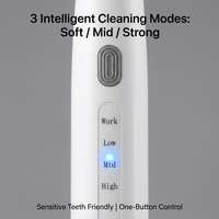 Détartreur dentaire professionnel sans fil étanche IPX6 en ABS et acier inoxydable pour usage domestique