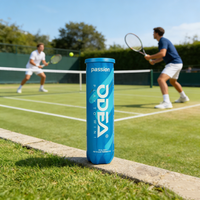 Balle de tennis de compétition approuvée par l'ITF ODEA, 57% laine, noyau en caoutchouc, pressurisée, durable, portable, 4 balles/boîte