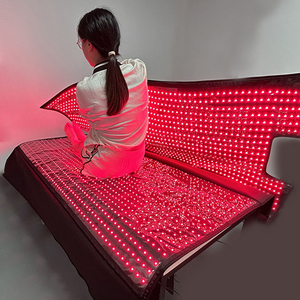 Plus grand sac de couchage couverture de thérapie 660nm 850nm 2520 pièces LED récupération de la douleur musculaire pour le traitement complet du corps - Product Image 1